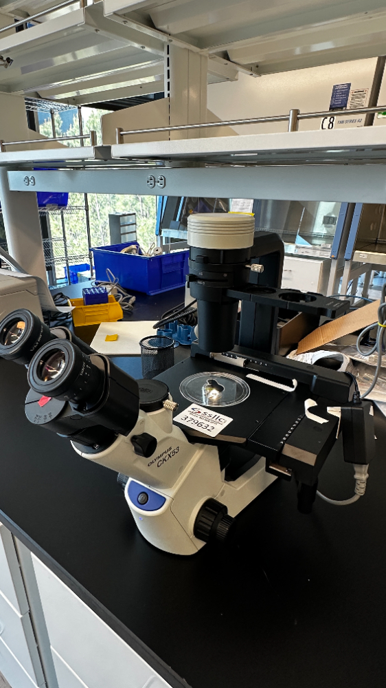 Image of Olympus CKX53 Inverted Microscope